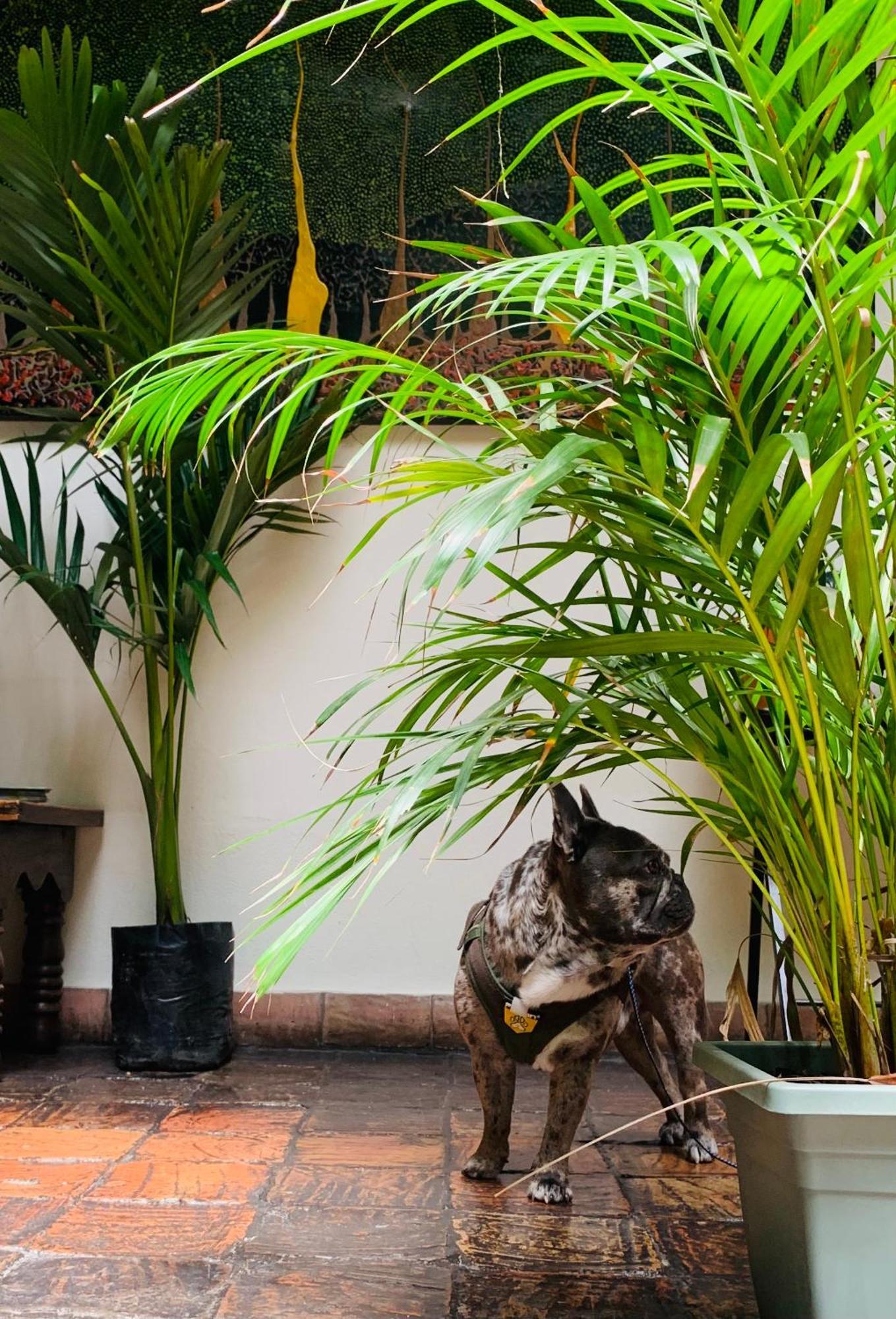Hotel Posada De San Agustin ทุนฮา ภายนอก รูปภาพ